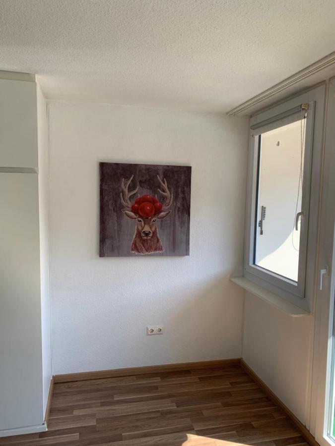 KMH 1 Zi-Apartment St. Blasien Buitenkant foto