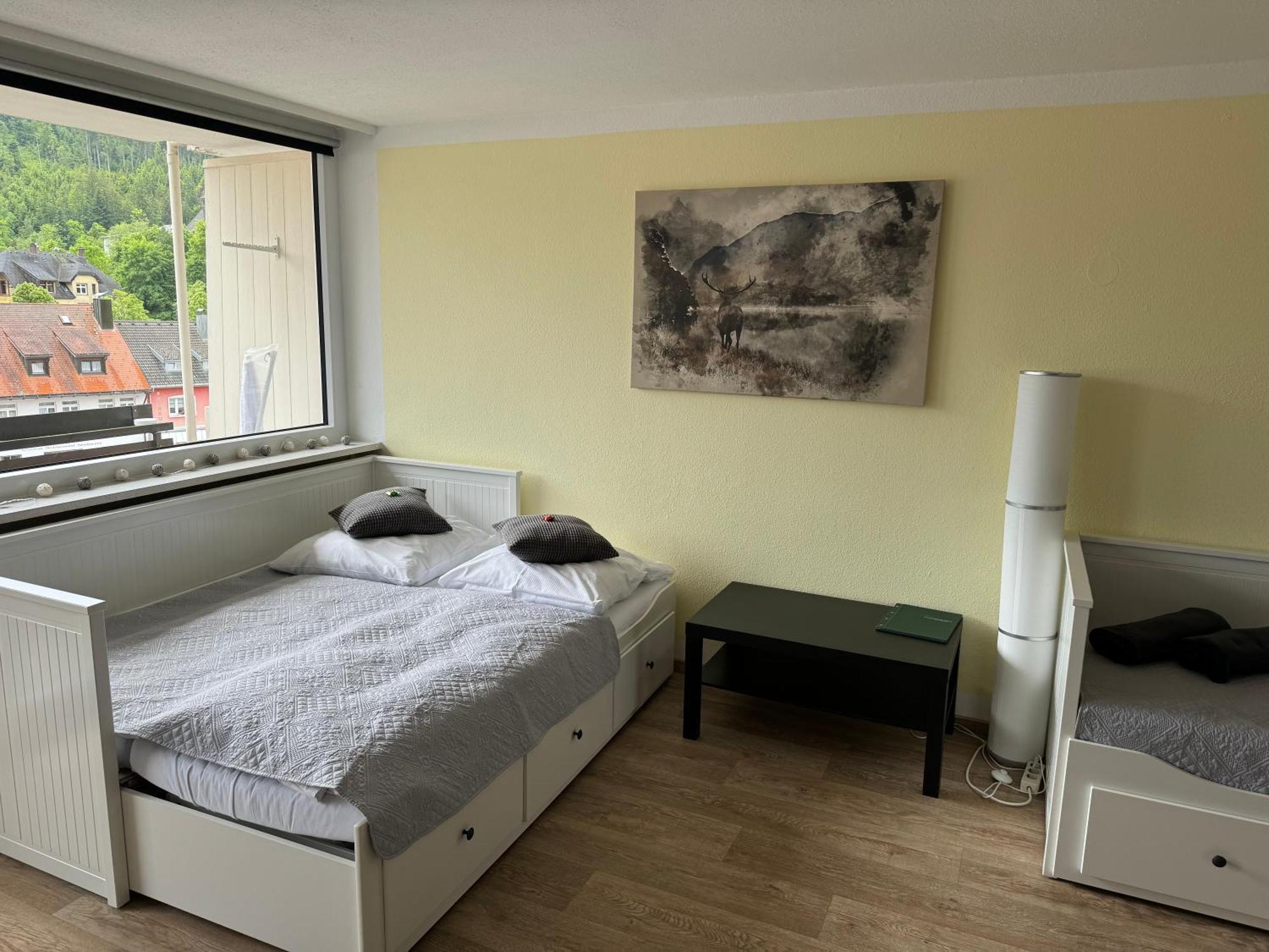 KMH 1 Zi-Apartment St. Blasien Buitenkant foto